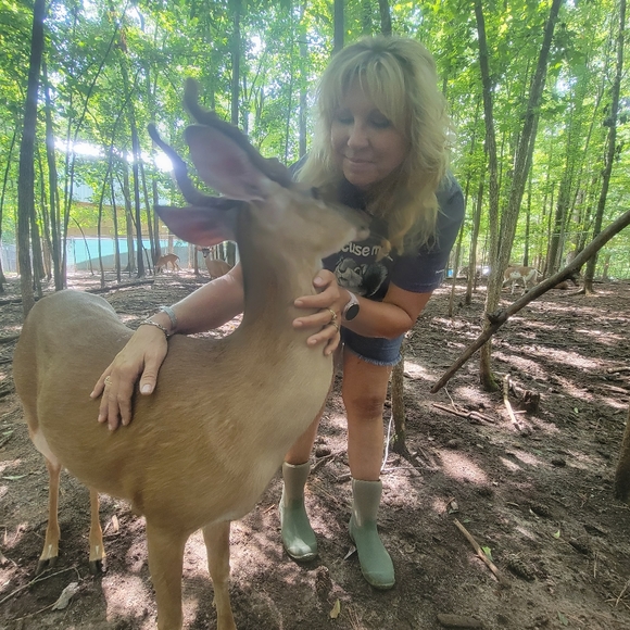 Meet your Posher, Melanie - Picture 7 of 7